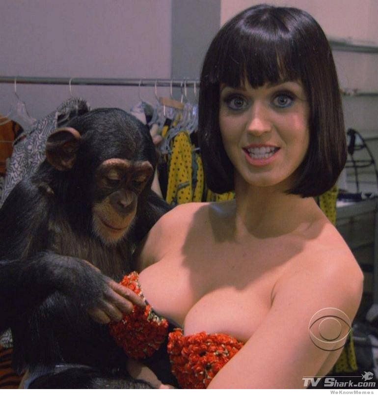 monkey-grabs-katy-perrys-boobs