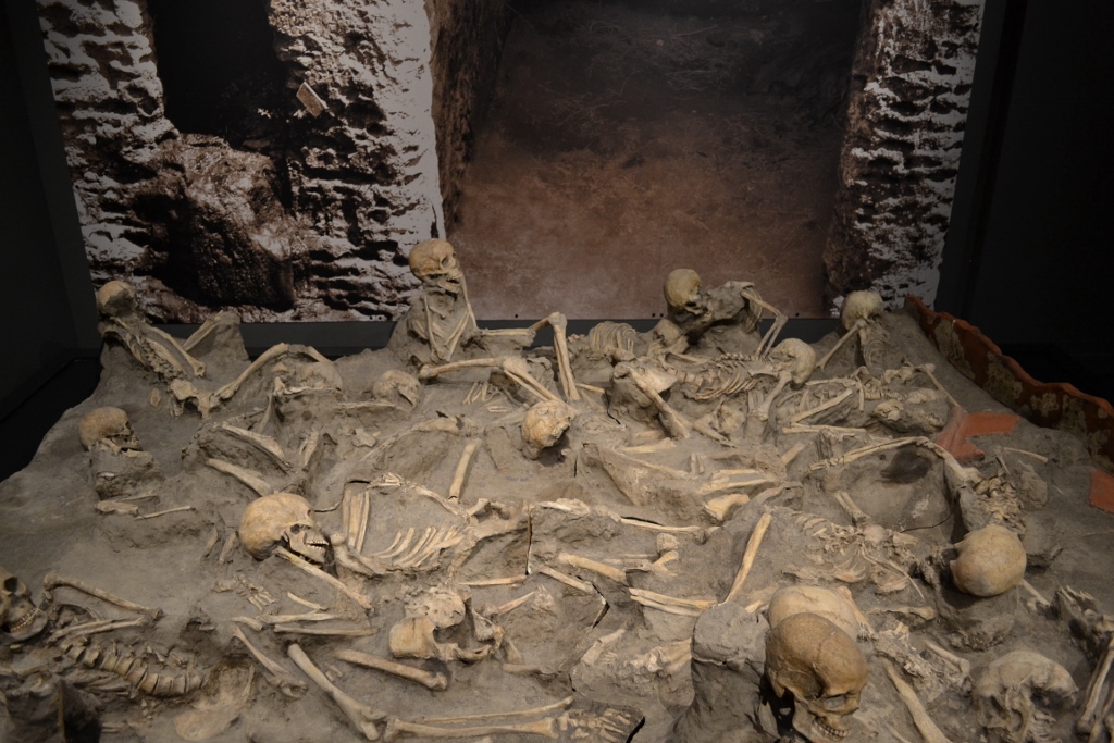 denver-museum-of-nature-and-science-a-day-in-pompeii-herculaneum-skeletons (1024x683)